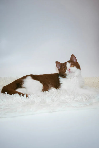 Hallo, ik ben Jonathan