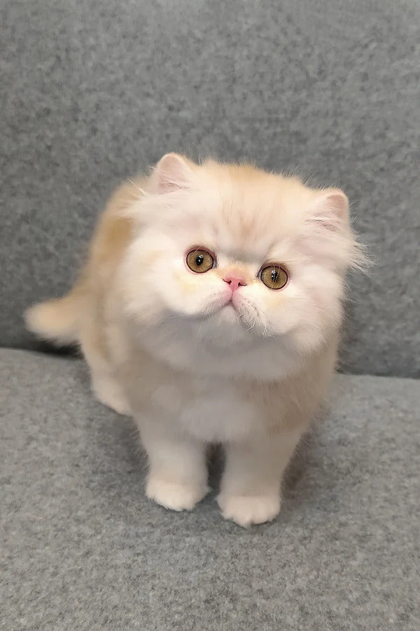 Hi, I'm Charles