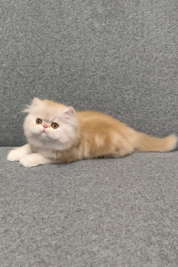 Hi, I'm Charles