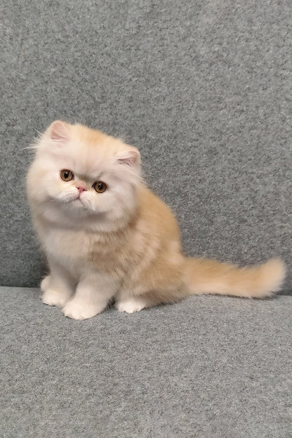 Hi, I'm Charles