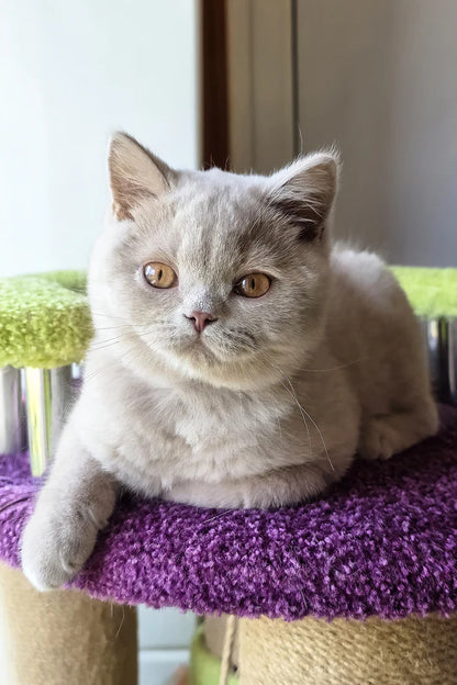 Hi, I'm Ernest