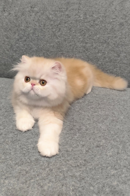 Hi, I'm Charles