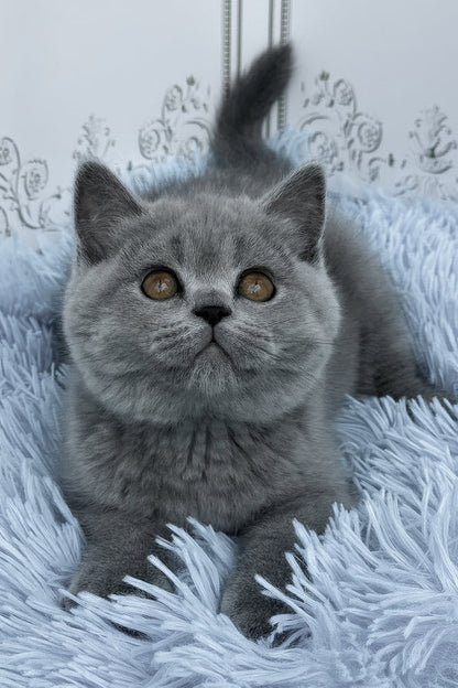 Hi, I'm Tessa